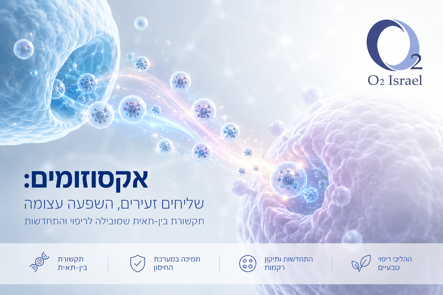 אקסוזומים ותא לחץ
