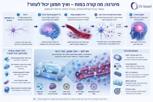 אינפוגרפיקה המסבירה את מנגנון המיגרנה, גל הדיכוי הקורטיקלי (CSD), השפעת החמצן על רקמת המוח וכיצד תא לחץ עשוי לשפר את זמינות החמצן ותפקוד המיטוכונדריה.